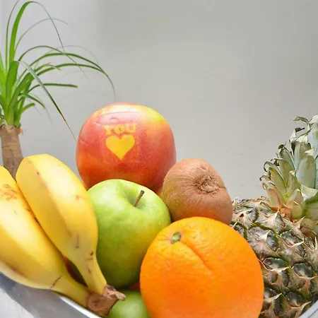 Matija Lejlighed Šibenik